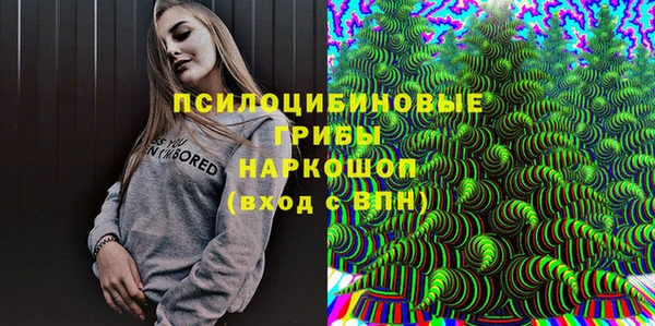 бошки Белокуриха